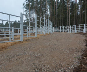 Zagroda pokazowa dla żubrów w Kopnej Górze