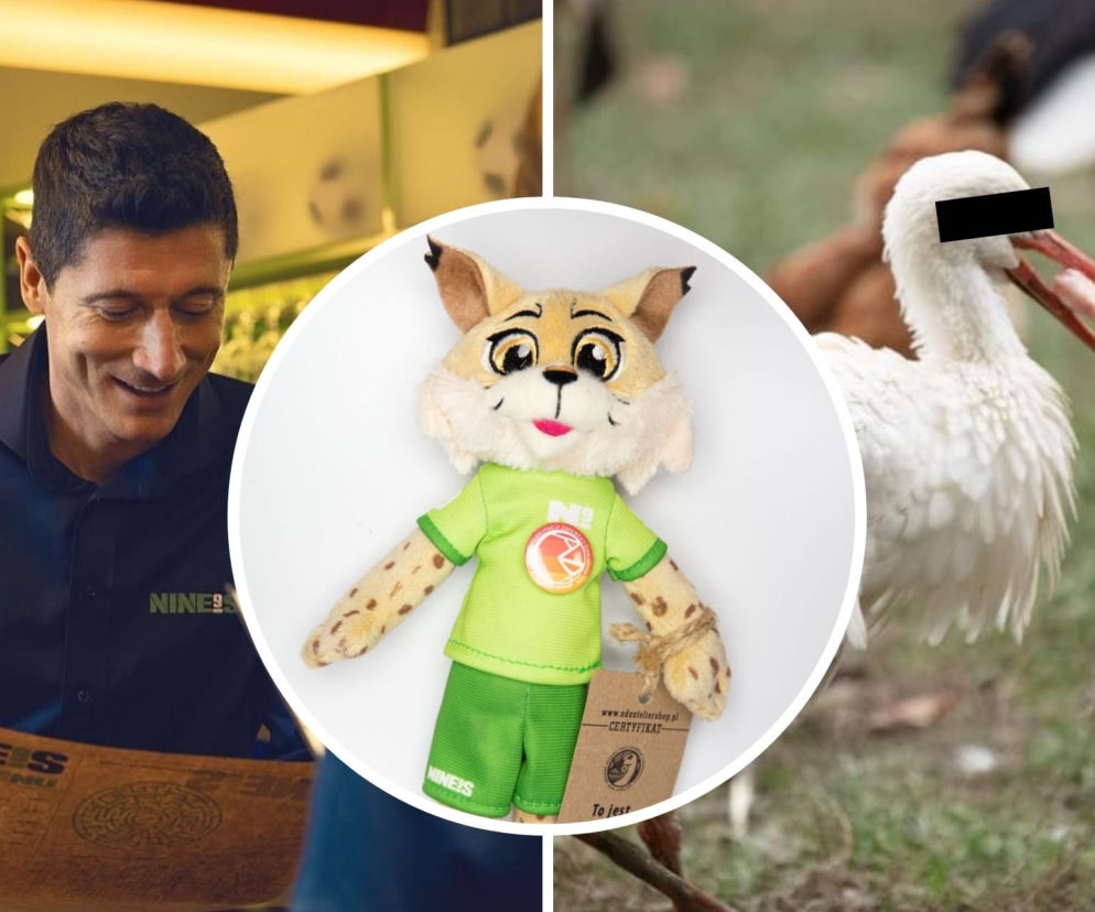  Bocian Radzio z Robertem Lewandowskim sprzedają miśki Ryśki