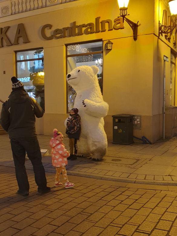 Biały Miś na toruńskiej starówce