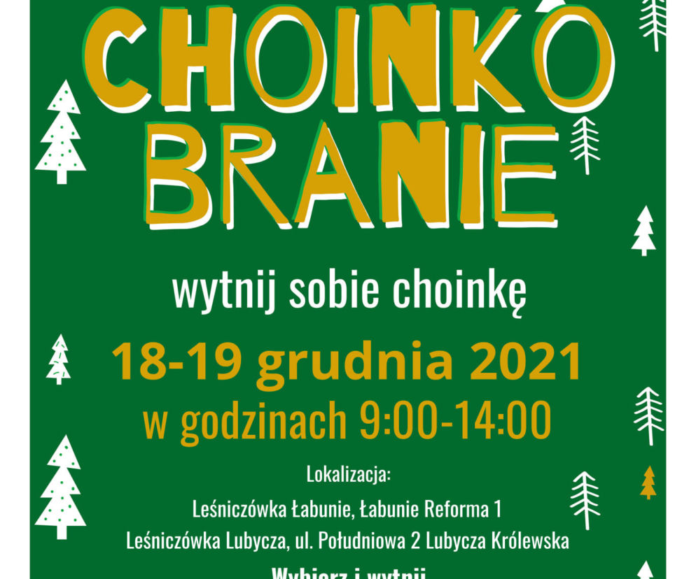 Choinkobranie Nadleśnictwo Tomaszów