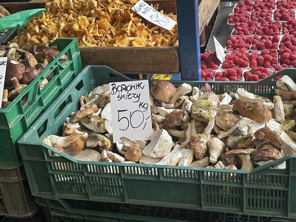 Grzyby w Krakowie. Dorodne borowiki na Starym Kleparzu