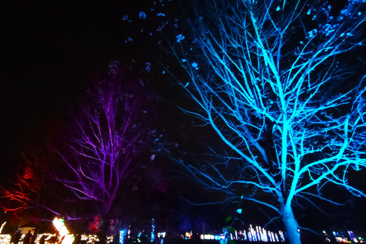 Garden of Lights w Szczecinie