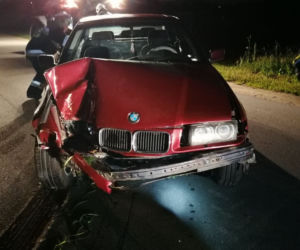 Pies wyskoczył wprost pod koła BMW. Matka z dziećmi zjechała do rowu [ZDJĘCIA]