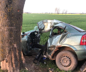 ZMASAKROWANE auto! 23-latka uderzyła w drzewo i zginęła! [ZDJĘCIA]