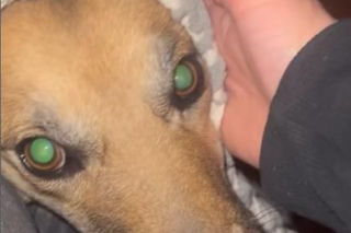 Ten sylwester był HORROREM. Gwiazda TVP ukrywała się pod ziemią