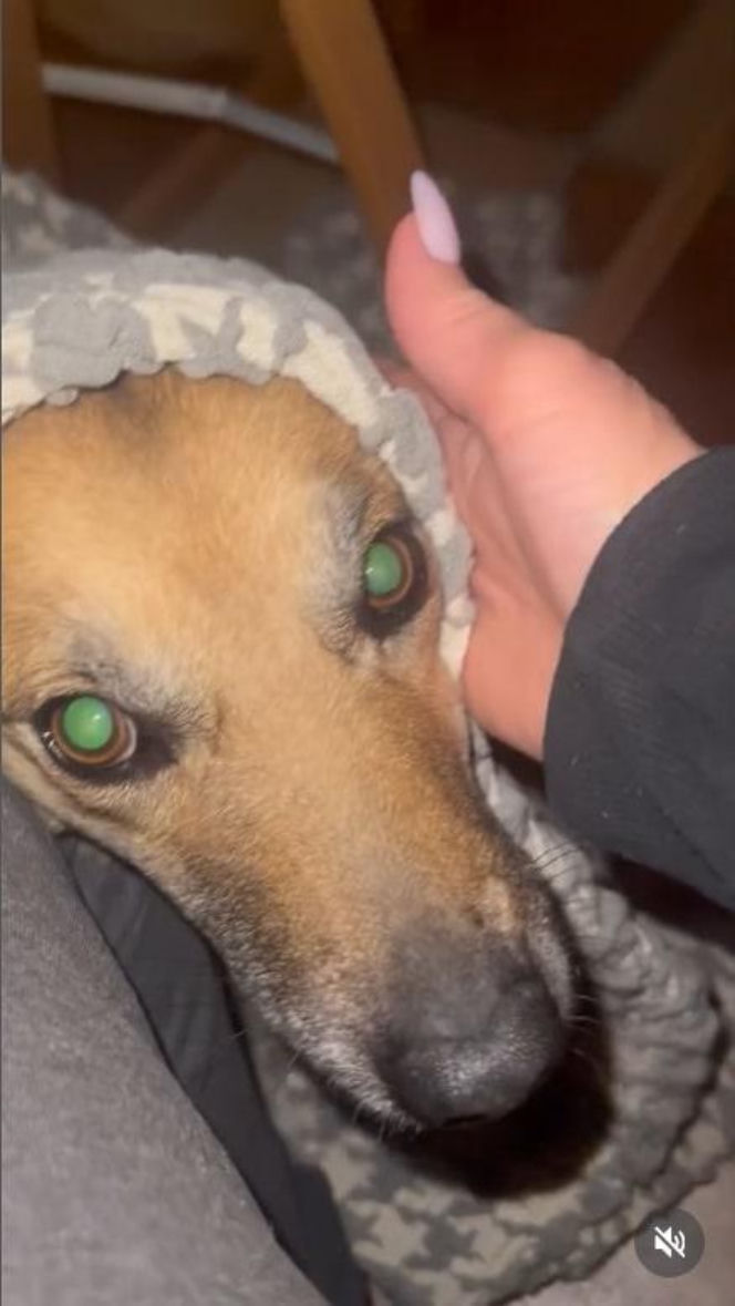 Ten sylwester był HORROREM. Gwiazda TVP ukrywała się pod ziemią