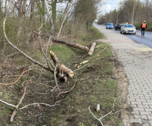 Powalone drzewa i awarie prądu w części województwa