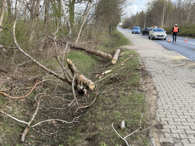 Powalone drzewa i awarie prądu w części województwa