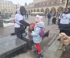 34. finał WOŚP w Krakowie. Golden Retrievery na Rynku Głównym