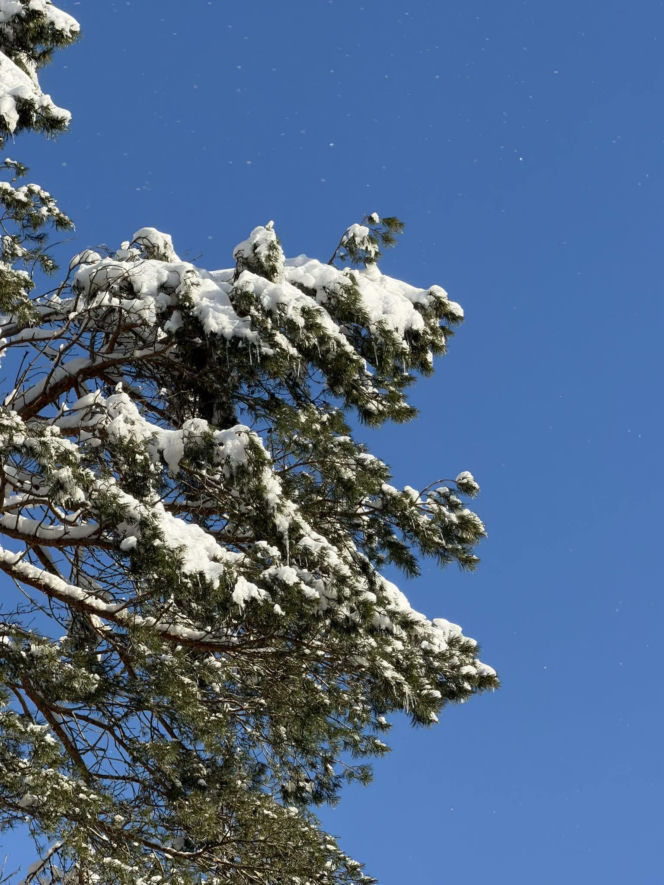 Sroga zima ponownie uderzyła na Pomorzu