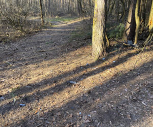 Pojechaliśmy na miejsce śmierci Magdaleny Majtyki. Nawet w dzień przyprawia o dreszcze