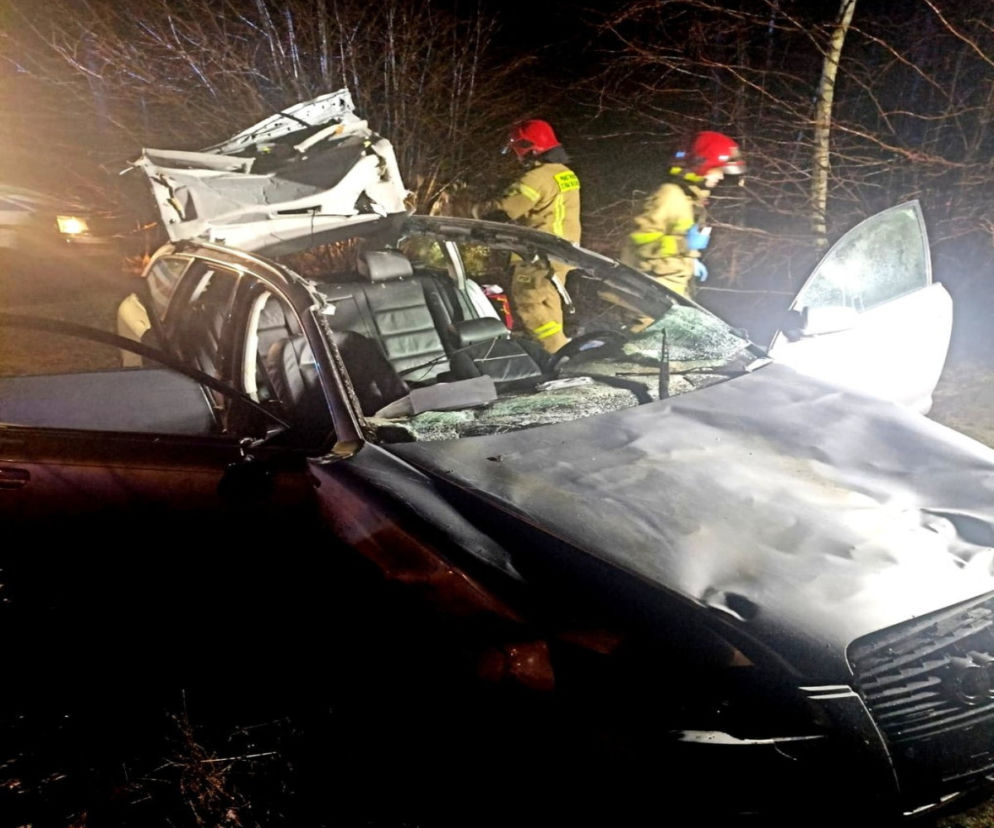Wypadek pod Szczytnem. Łoś wbiegł pod koła audi.