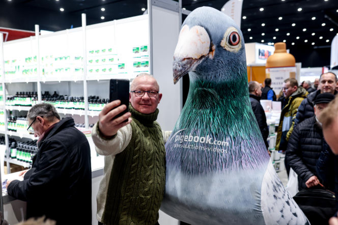 Katowice stolicą gołębiarstwa. Za nami 17. edycja EXPOGołębie. To największa tego typu impreza w Europie