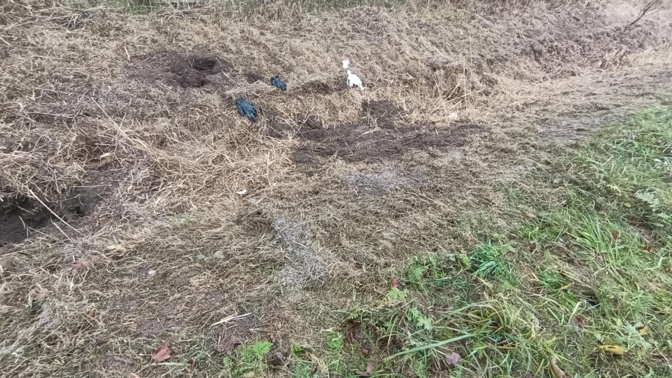 Zabił Walentynę, bo chciała od niego odjeść. Koszmar na Mazowszu