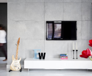 nowoczesny salon ściana z tv