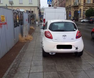 Ponad 1300 mandatów dla kierowców w Katowicach za złe parkowanie. Zobaczcie najlepszych mistrzów parkowania [ZDJĘCIA]