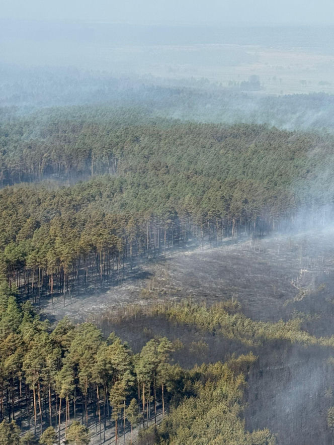 Pożar lasu w rejonie Biłgoraja