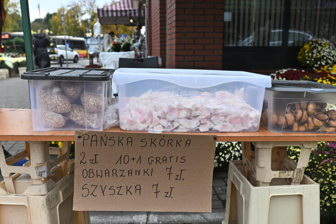 Drożyzna przy warszawskich cmentarzach przed świętem zmarłych 