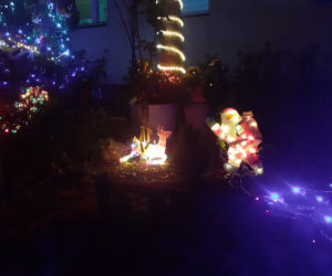 Świąteczna iluminacja bloku przy Niesiołowskiego 24 w Toruniu to już tradycja