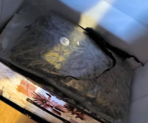 Ponad 75 kg narkotyków w Bydgoszczy! Policja zlikwidowała magazyn wart miliony