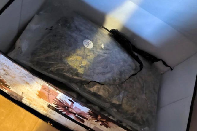 Ponad 75 kg narkotyków w Bydgoszczy! Policja zlikwidowała magazyn wart miliony