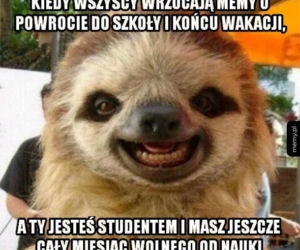 Najlepszy z okazji zakończenia wakacji i początku roku szkolnego!