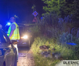 Tragiczny wypadek pod Oleśnicą