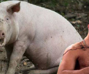 Warsaw Shore - Ekipa z Warszawy MEMY