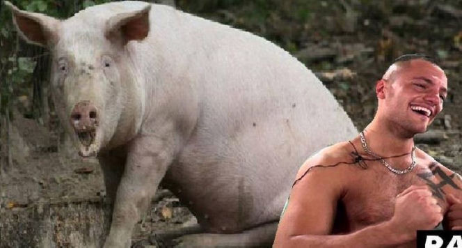 Warsaw Shore - Ekipa z Warszawy MEMY