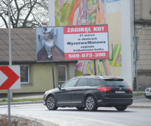 Koszalin: Poszukiwania kota