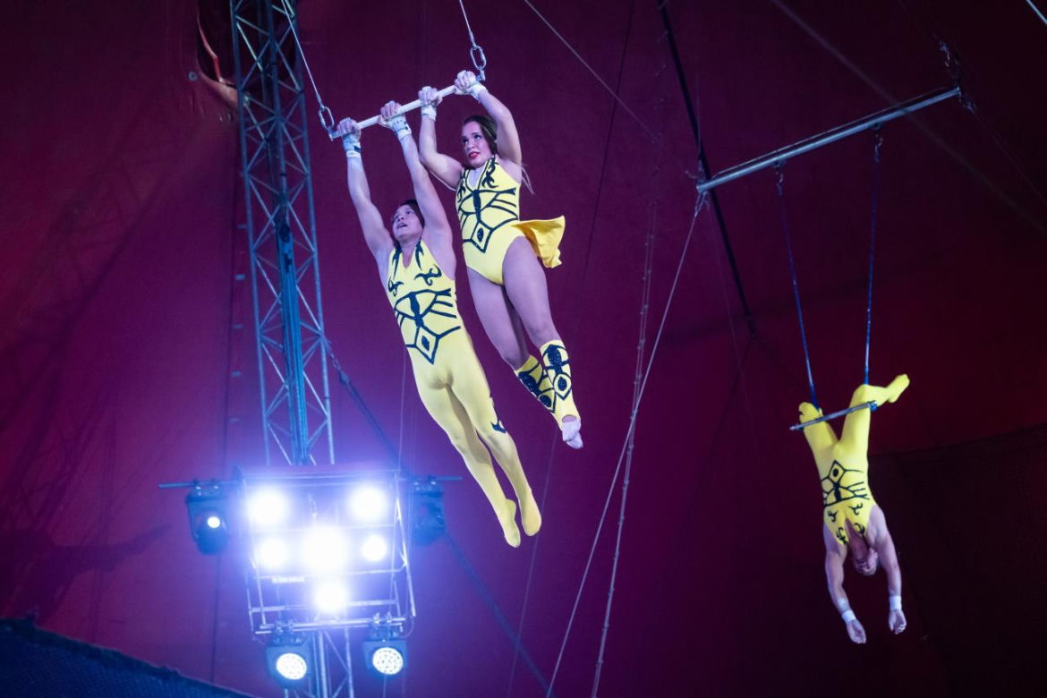 Festiwal w Cyrku Zalewski 2026. Oto zwycięzcy