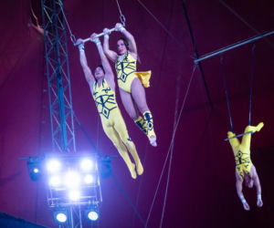 Festiwal w Cyrku Zalewski 2026. Oto zwycięzcy