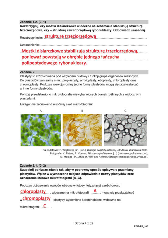 Matura 2025 biologia rozszerzona: ODPOWIEDZI do wszystkich zadań, gotowe rozwiązania matury z biologii rozszerzonej - Formuła 2015 [9.05.2025]	