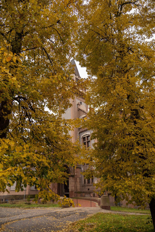 Pałac Schoena w Sosnowcu stanie się muzeum