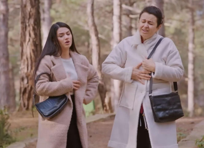 Miłość i nadzieja, odcinek 375. Cavidan, Bahar