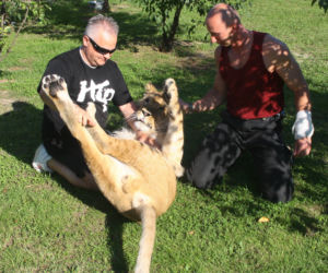 Lew Simba
