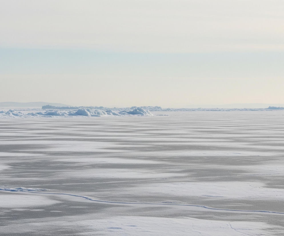 Rozległa, zimowa panorama przedstawia zamarznięte jezioro lub morze pod jasnym, mglistym niebem. Duża powierzchnia lodu i śniegu, pokryta szaro-białymi pasami i smugami, rozciąga się od pierwszego planu po horyzont. W oddali, na linii horyzontu, widać pasmo nierównych, spiętrzonych brył lodu, tworzących barierę pod jasnym, jednolitym niebem. Subtelne odcienie szarości i bieli dominują w całej kompozycji, tworząc wrażenie spokoju i zimna.