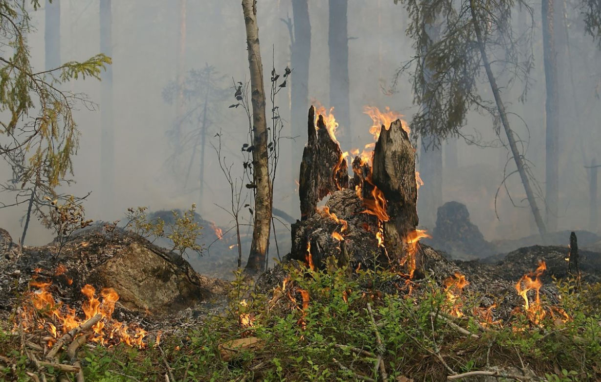 Mogą być przyczyną pożarów