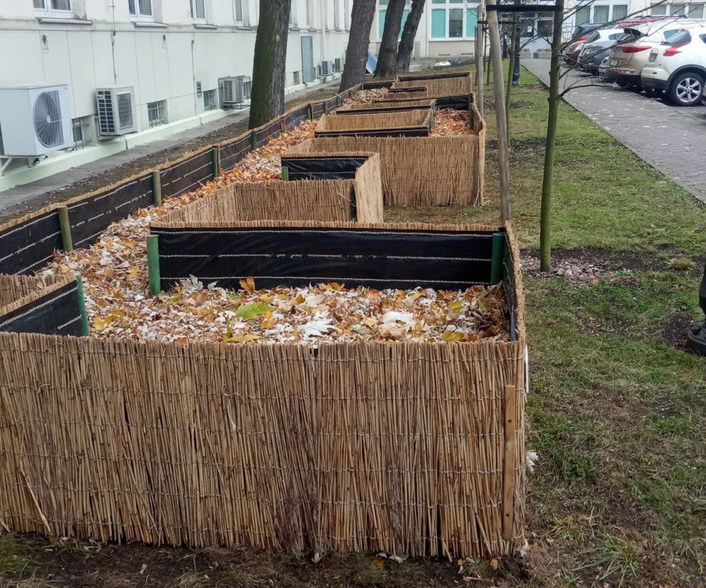 Blokowisko dla jeży