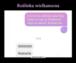 Wielkanoc 2022 - najlepsze memy