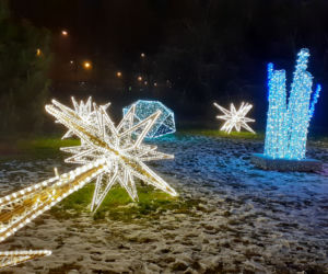 Lumina Park w Ogrodzie Botanicznym UMCS w Lublinie