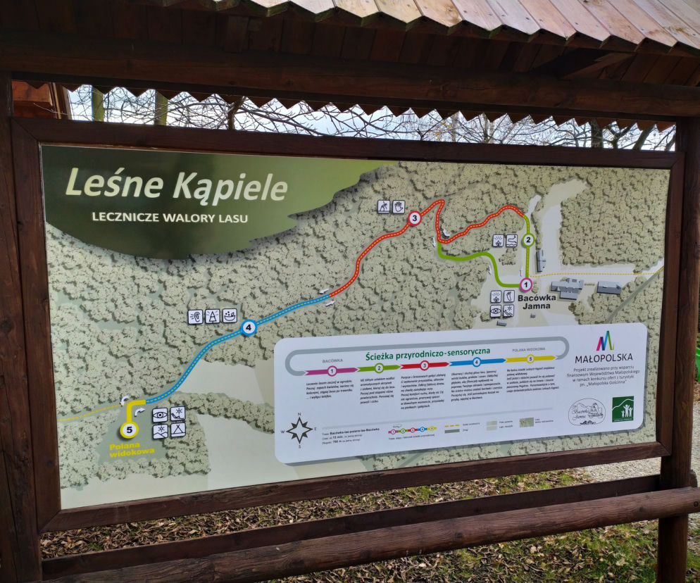 Leśne kąpiele Jamna 