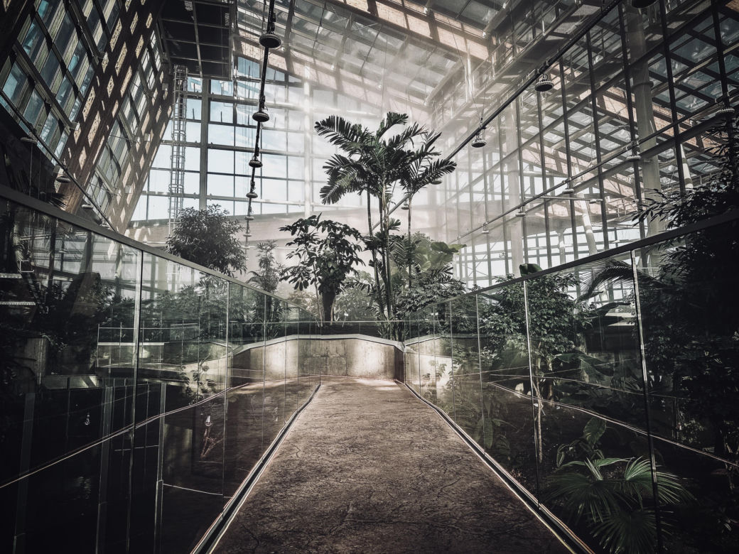 Nowe Egzotarium w Sosnowcu