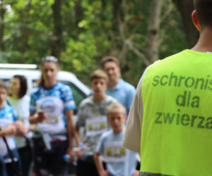 VIII Piknik Przyjaciół Schroniska w Toruniu