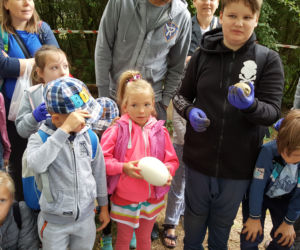 Mali archeolodzy zakasali rękawy i zabrali się do pracy! Co znaleźli w bydgoskim zoo? 