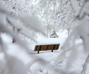 Śniegu po same kostki w Nowy Rok! W tych miastach biały puch zasypie Polskę