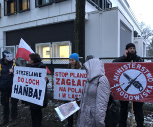 Solidarni z dzikami