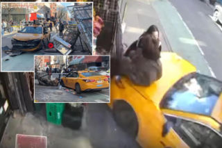 Szok! One to przeżyły i będą zdrowe. Wideo budzi grozę