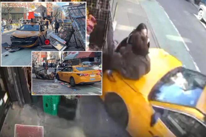 Szok! One to przeżyły i będą zdrowe. Wideo budzi grozę