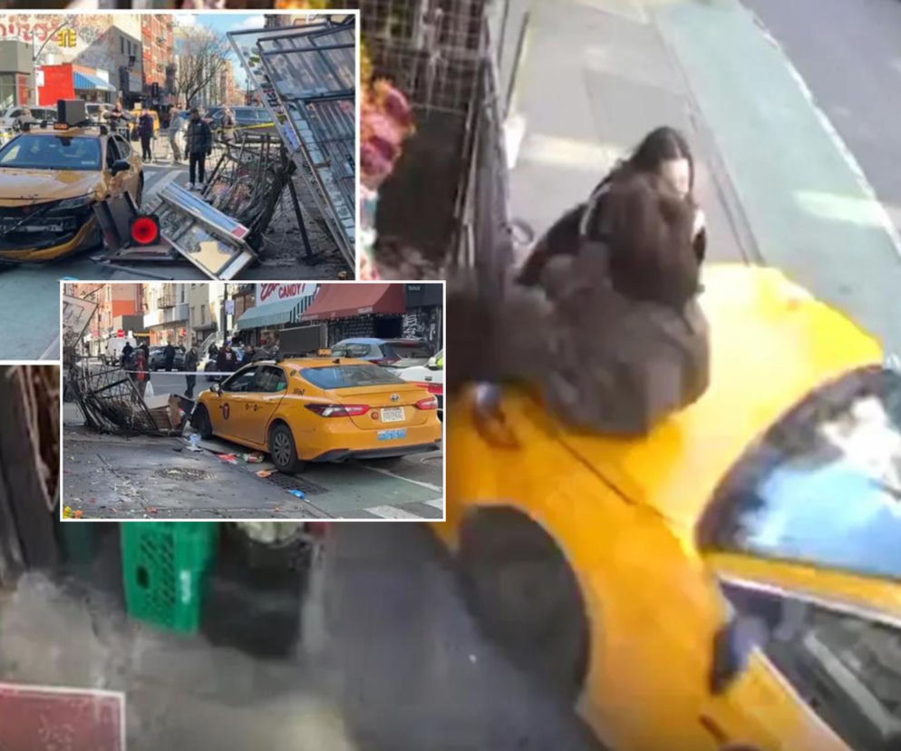 Szok! One to przeżyły i będą zdrowe. Wideo budzi grozę